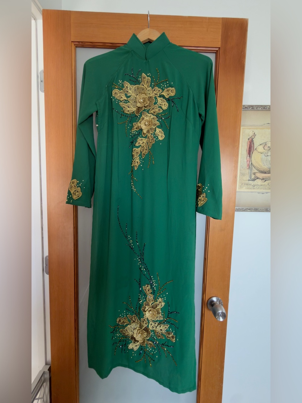 Vietnamese long dress, the áo dài